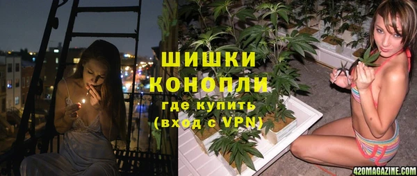 трава Козельск